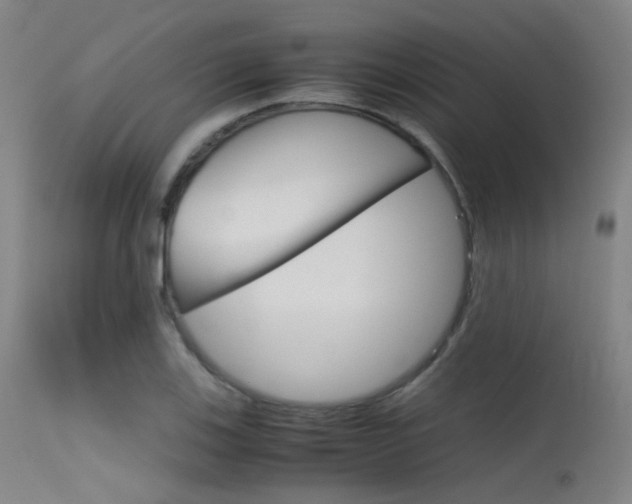 X0000115621123200911101050