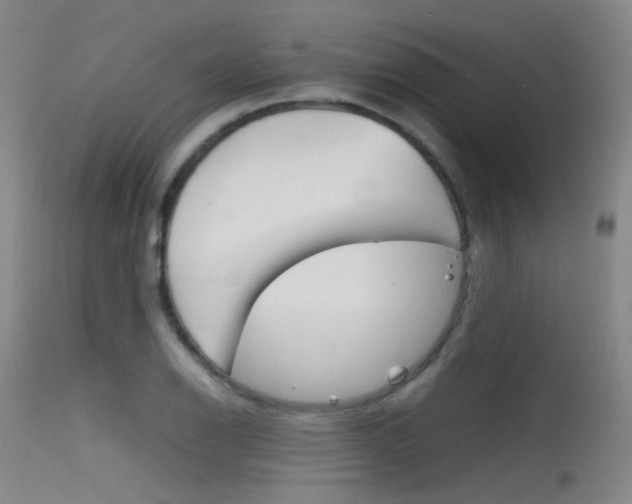X0000115621126200911101050