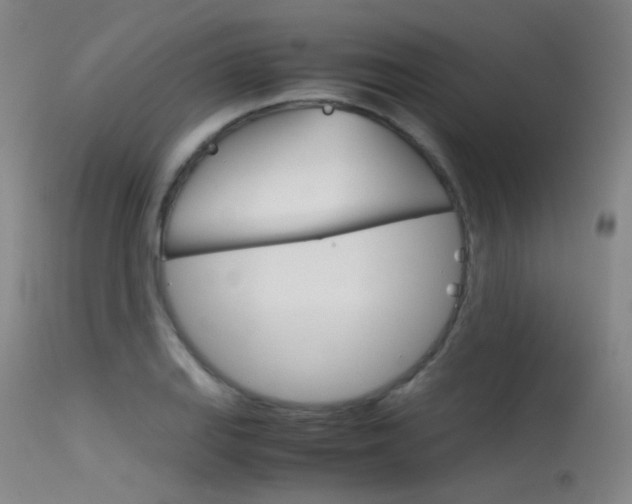 X0000115621127200911101050