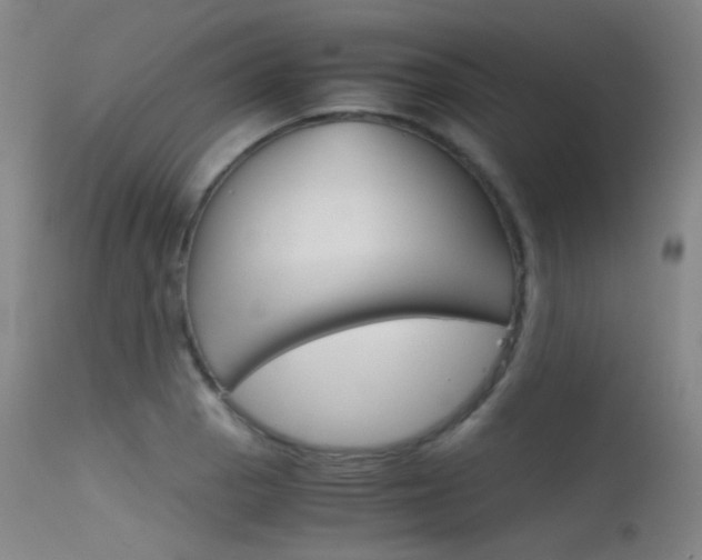 X0000115621129200911101050