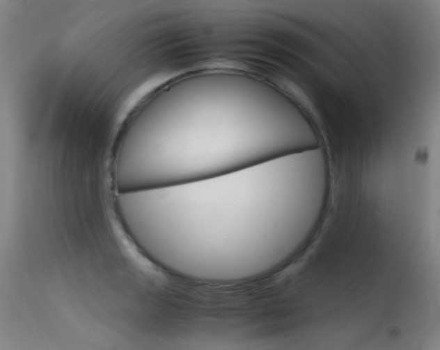 X0000115621133200911101050