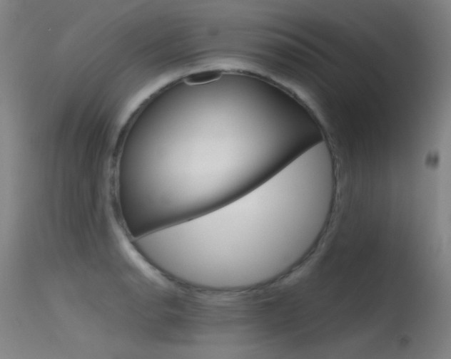 X0000115621134200911101050