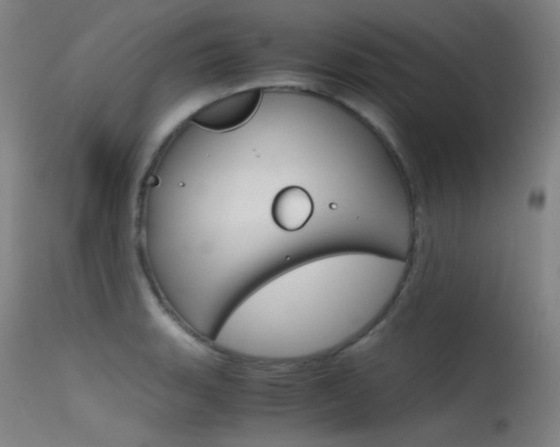 X0000115621135200911101050