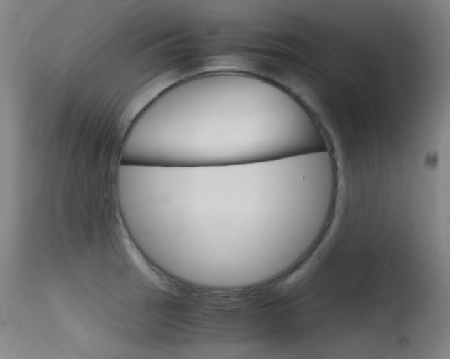 X0000115621137200911101050