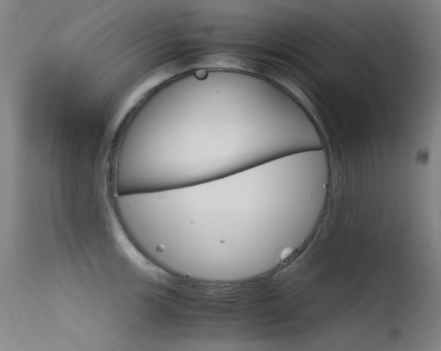 X0000115621139200911101050