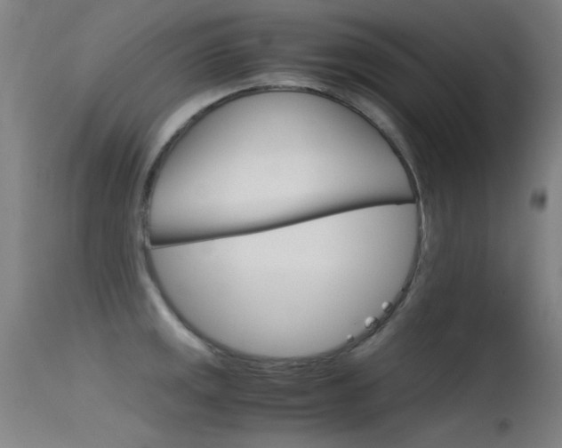 X0000115621141200911101050