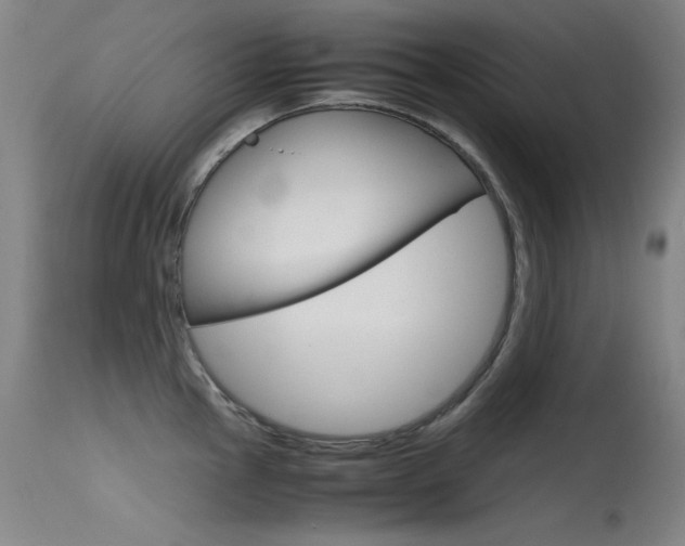 X0000115621145200911101050