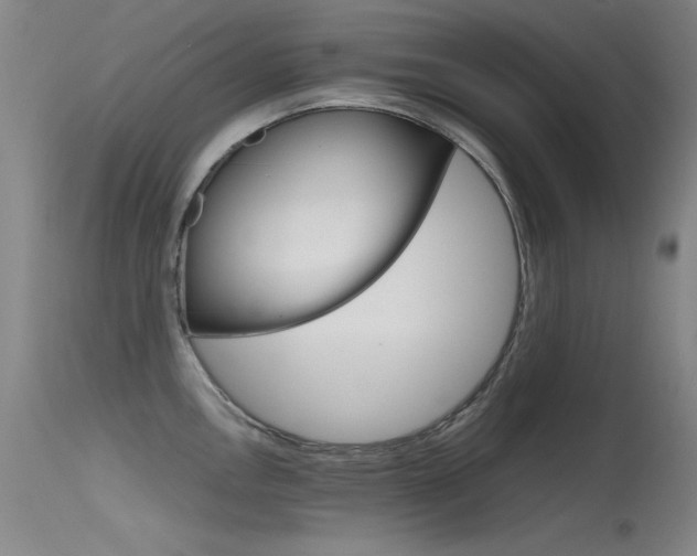 X0000115621146200911101050