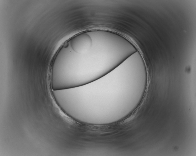 X0000115621149200911101050