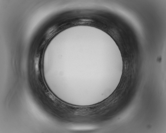 X0000115621150200911101050