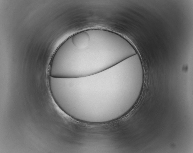 X0000115621151200911101050