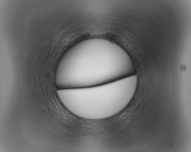 X0000115621153200911101050