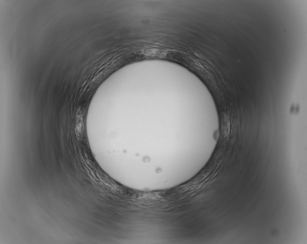 X0000115621154200911101050