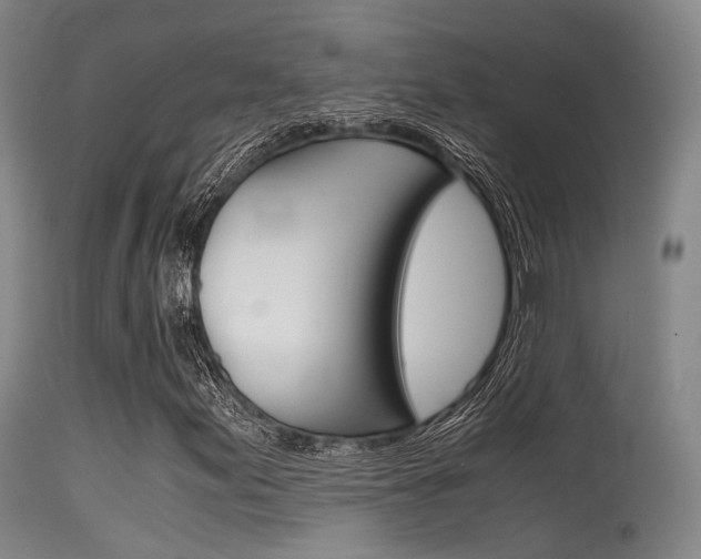 X0000115621155200911101050