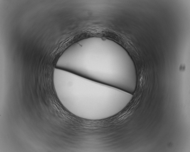 X0000115621156200911101050