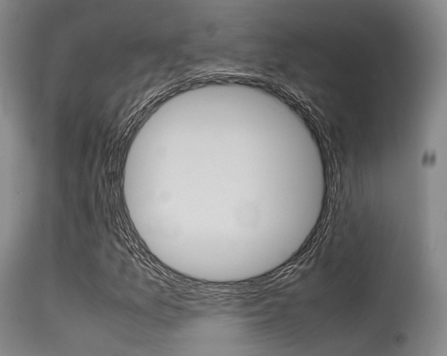 X0000115621157200911101050