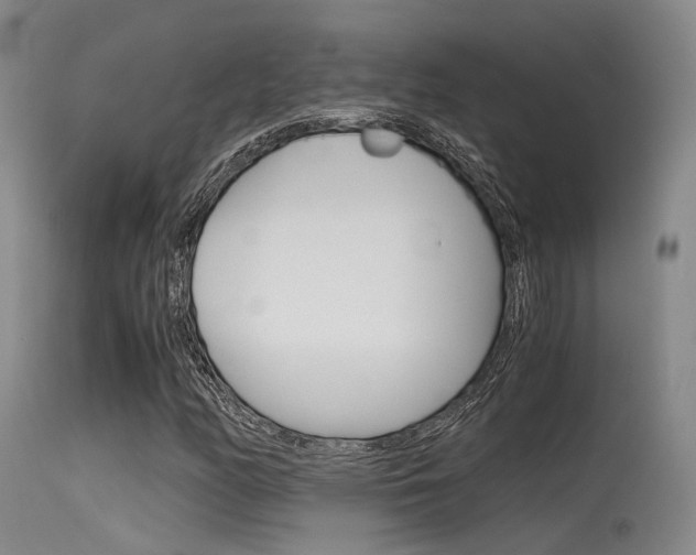 X0000115621158200911101050