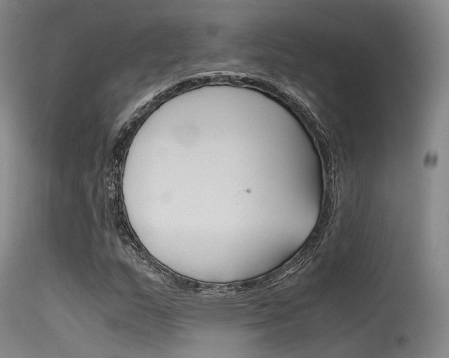 X0000115621159200911101049