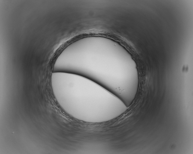 X0000115621160200911101049