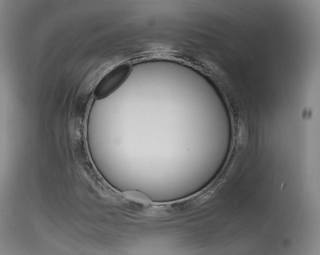 X0000115621161200911101049