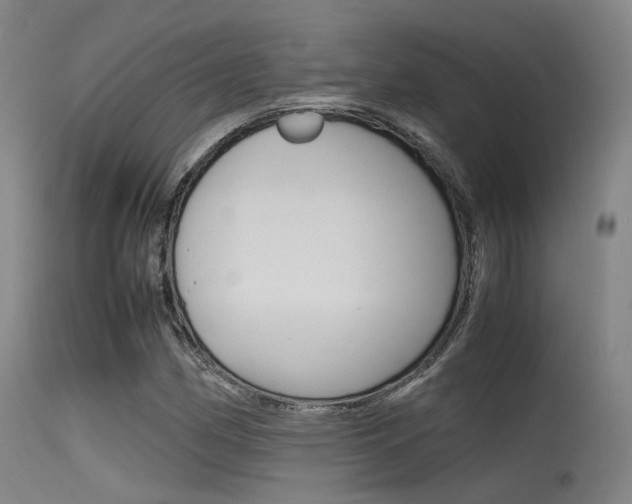 X0000115621162200911101049