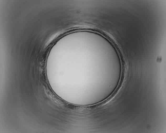 X0000115621163200911101049