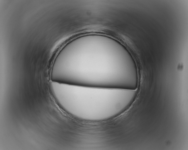 X0000115621164200911101049