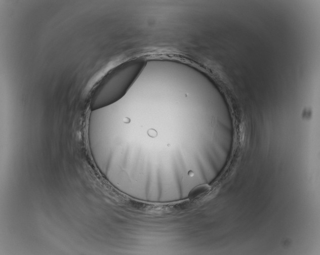 X0000115621165200911101049