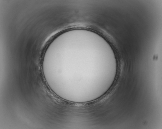 X0000115621166200911101049