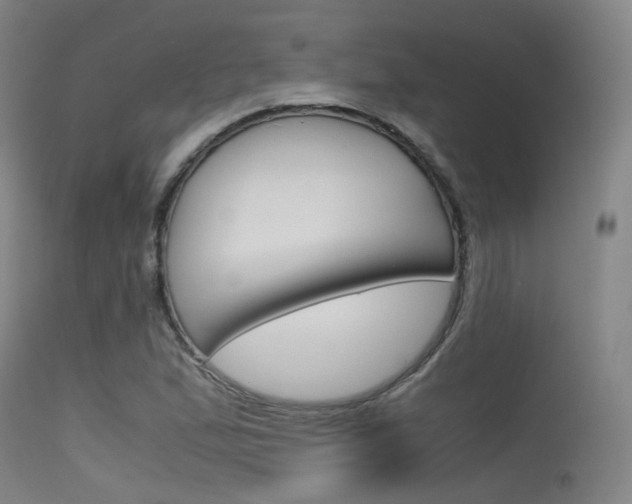 X0000115621167200911101049