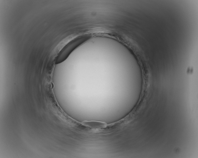 X0000115621169200911101049