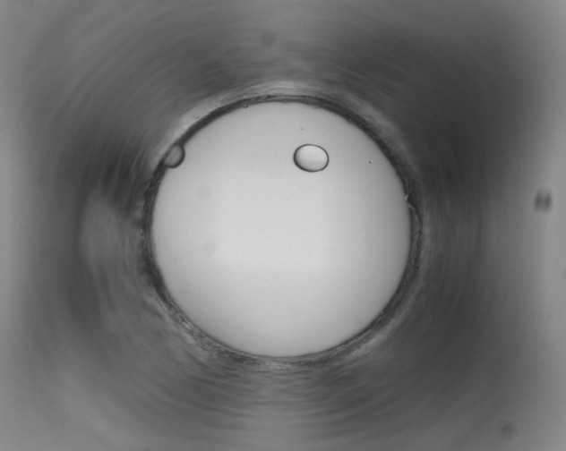 X0000115621170200911101049