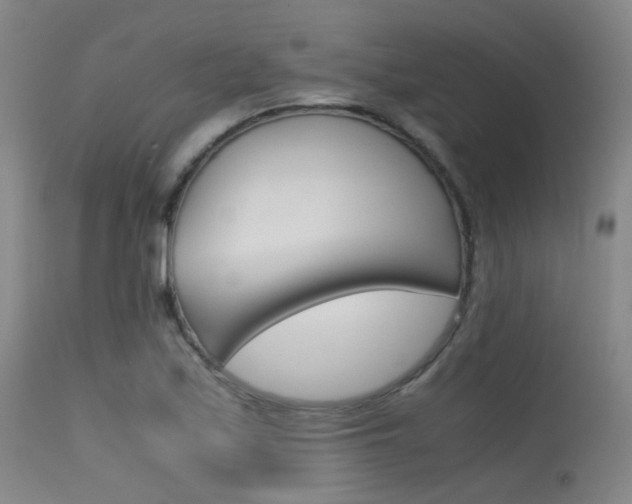 X0000115621171200911101049