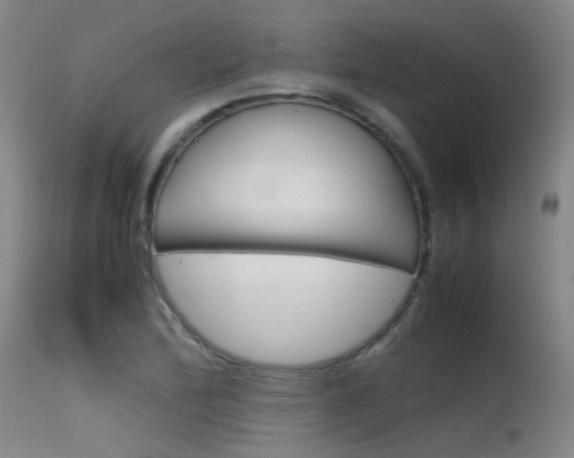 X0000115621172200911101049