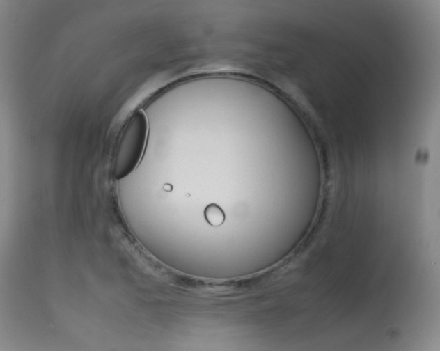 X0000115621173200911101049