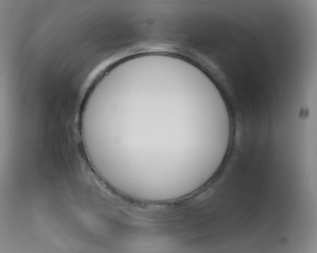 X0000115621174200911101049