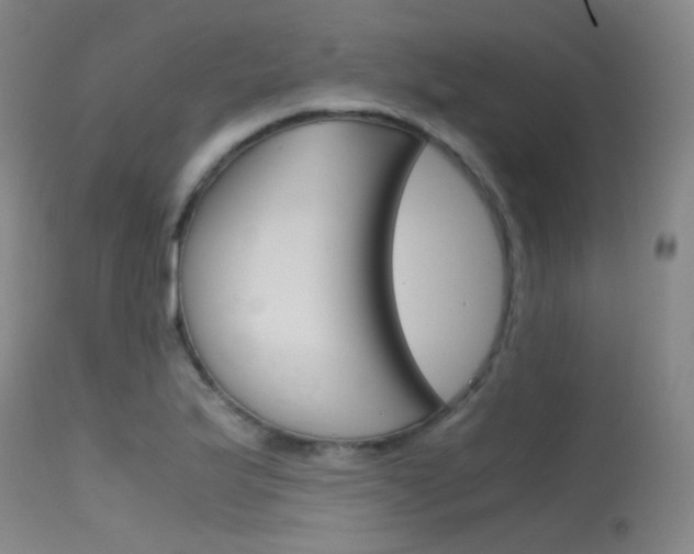 X0000115621175200911101049