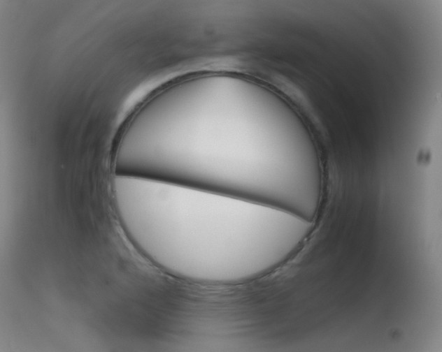 X0000115621176200911101049