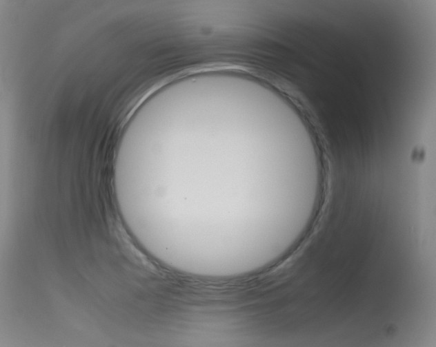 X0000115621177200911101049