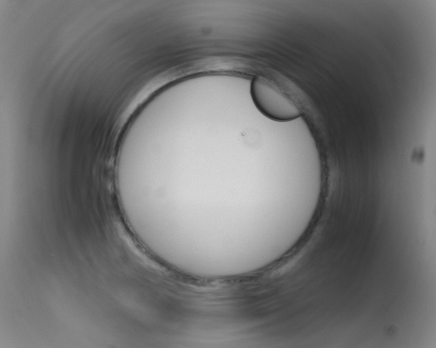 X0000115621178200911101049