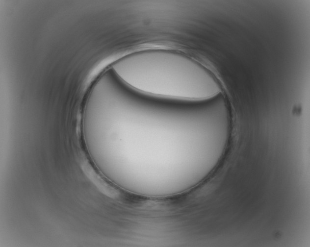 X0000115621179200911101049