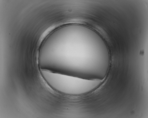 X0000115621180200911101049