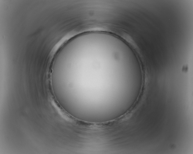X0000115621181200911101049