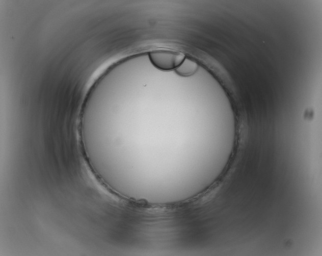 X0000115621182200911101049
