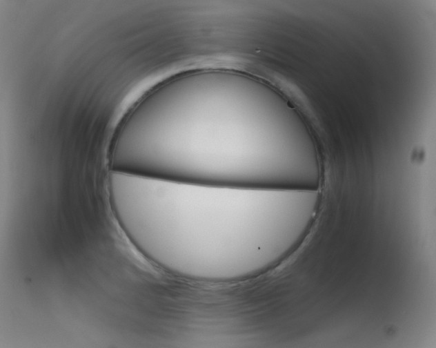X0000115621184200911101049