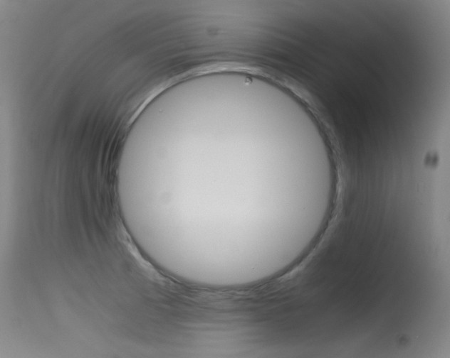 X0000115621185200911101049