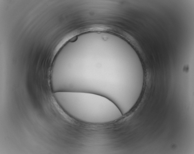 X0000115621186200911101049