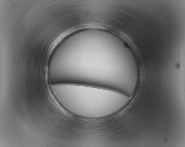 X0000115621188200911101049