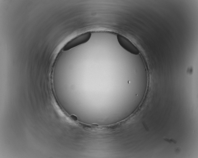 X0000115621189200911101049