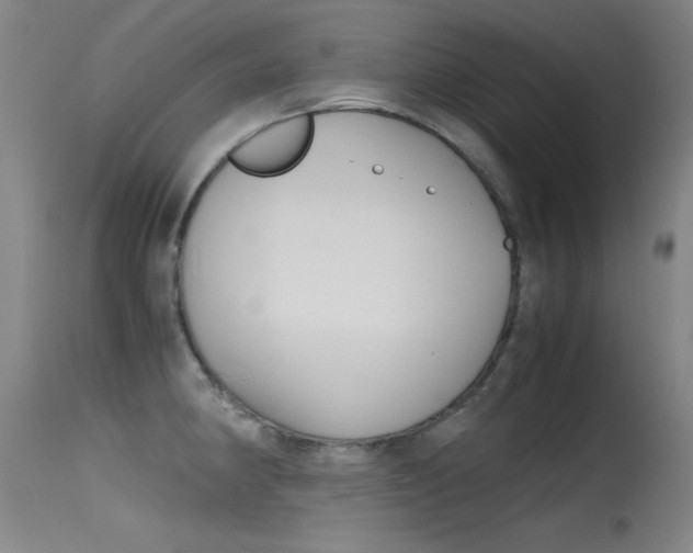 X0000115621190200911101049